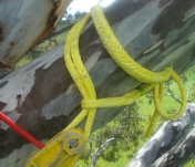 Tree Rigging Ropes